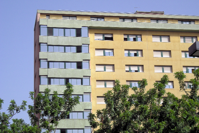 immagine decorativa