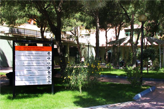 immagine decorativa